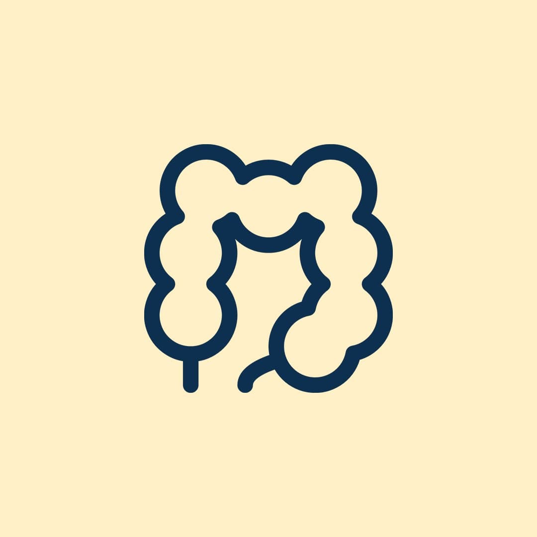 Illustration på en tarm